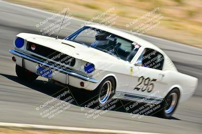 media/May-10-2025-Cobra Club (Sat) [[7b9c5022b1]]/Passenger/